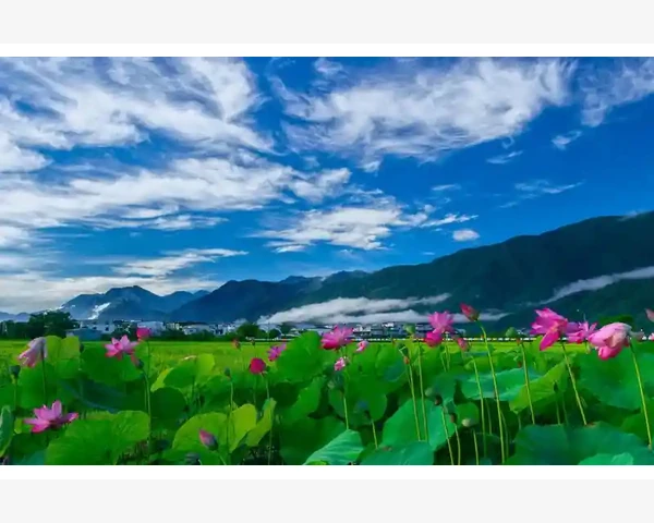 治胃疼的穴位——脚上
