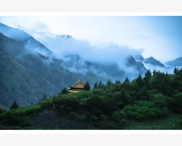 B2B技术如何重塑企业采购与供应链